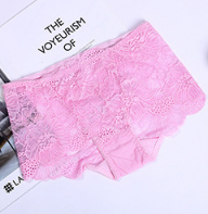 Women's Sexy Lace underwear