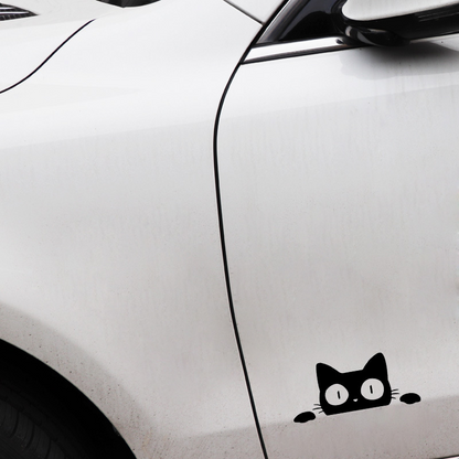 Foreign trade car sticker voyeur cat